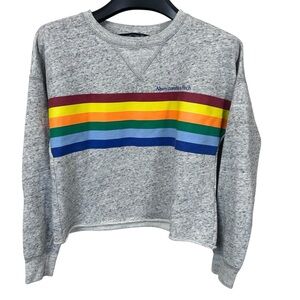 Abercrombie & Fitch Women’s Cropped Sweater‎ Rainbow Stripe Pride XS Gray